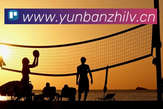 qy球友会(中国)官方网站平台生态图